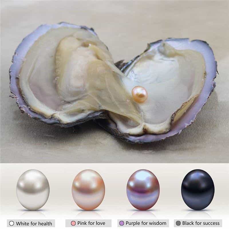 Natural-Oyster-Pearl-Necklace-Best-Sellers-Necklaces-Color-Silver-18-min Natural Oyster Pearl Necklace Best Sellers Jewelry Type : Angel|Pink Rose|Red Rose|Shell|Coconut Tree|Dolphin|Love|Rose|Wish|Cherry|Sunflow|Pigeon